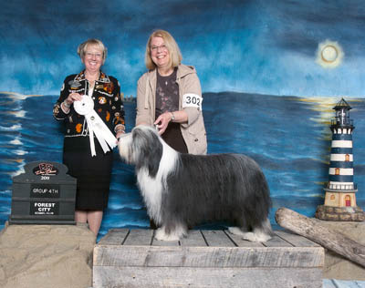 Lizzie winning Group 2 at the Forest City Kennel Club Dog SHow, May 2011